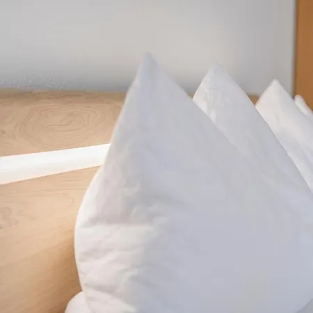 Ferienwohnpark Ein-zimmer-apartment 55 10 Lejlighed Immenstaad am Bodensee